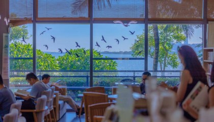 开放共享公园绿地 赋能宜居宜游新体验 深圳用生态软实力筑牢营商环境硬支撑