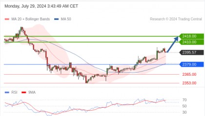 每日策略：07/29 外汇黄金原油行情分析