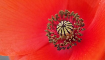 期权开户需要什么条件?