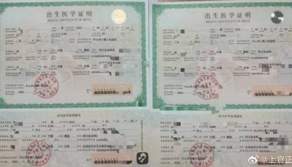 上官正义曝17岁女孩代孕生下双胞胎，广州市卫健委：正在核实情况