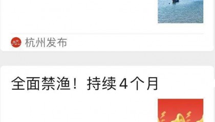 浙江多地通告：本周六起，全面禁止！