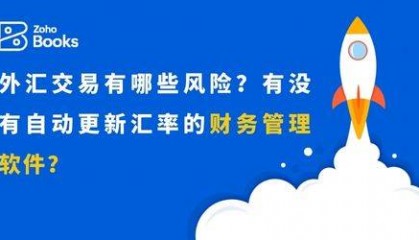 外汇风险管理：自动更新汇率的财务管理软件推荐