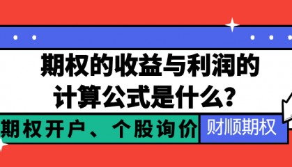 你知道期权的收益与利润的计算公式是什么吗？