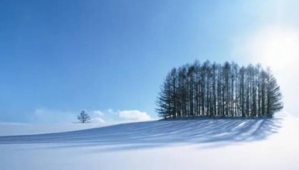 OEXN外汇平台：全球外汇交易的新机遇