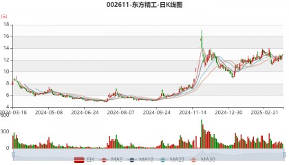 东方精工：2024年净利润5.01亿元 同比增长15.54%