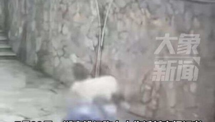 湖南两高中生骑电动车撞围墙身亡，两人均未佩戴安全头盔 家属称系改装车，最高时速100公里