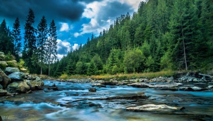 NCE外汇的期货开户手续费如何？