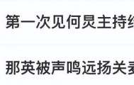 那英质疑票数作假 何炅差点没救回场