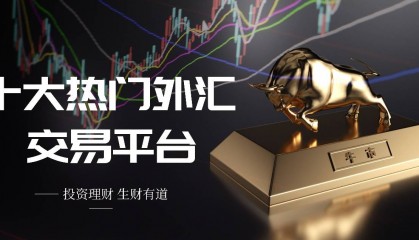【投资必备】十大热门外汇交易平台全面解析