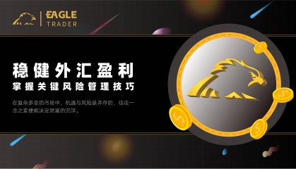 稳健外汇盈利：掌握关键风险管理技巧
