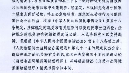 最高法典型案例：海南一男子捕获两只金钱龟回家饲养被判刑