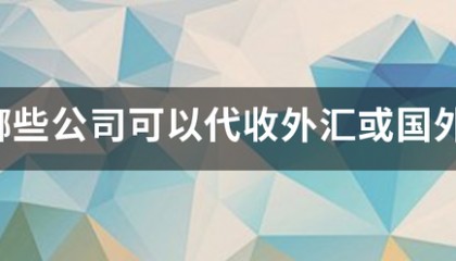 有哪些公司可以代收外汇或国外货款