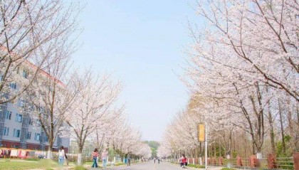 新浪蜂鸟 | 对话华农举报学生： 还是希望学校美好的一面被大家看到