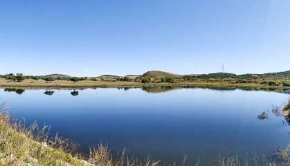 NCE外汇是否已经进入数字货币市场？