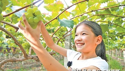 农业产业化+认养农业有哪些基本特征