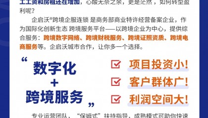 2024年传统财务公司转型选什么项目好?