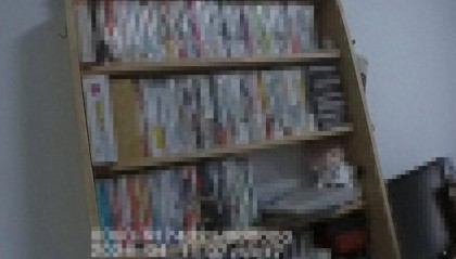 女子走私2000多本淫秽漫画获刑