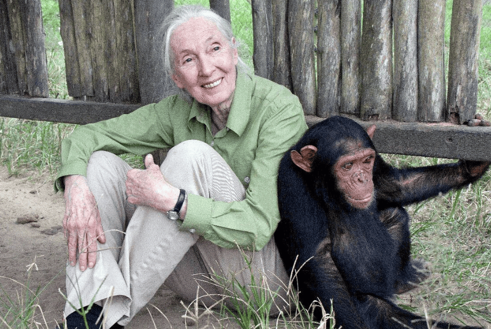 91岁传奇女科学家去世:没学士学位的剑桥博士,科学发现颠覆人类认知,每年300天全球演讲