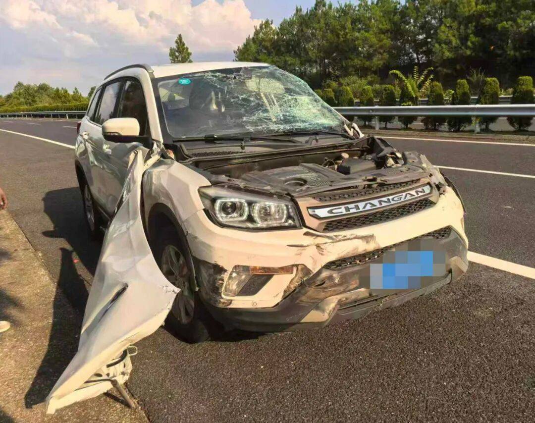 司机强行变道酿大祸，反诬赖对方：“我要是撒谎就天打雷劈！”