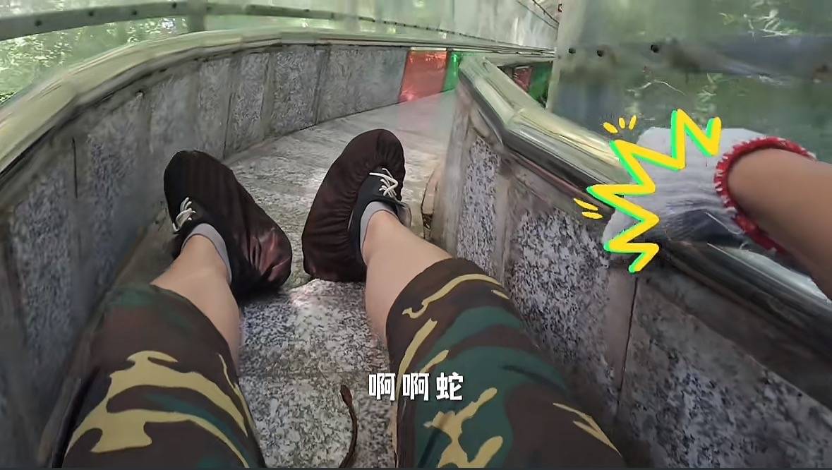 游客称在广西丹炉山滑道遇蛇，景区致歉：这么多年就这一次，每年都做防蛇处理