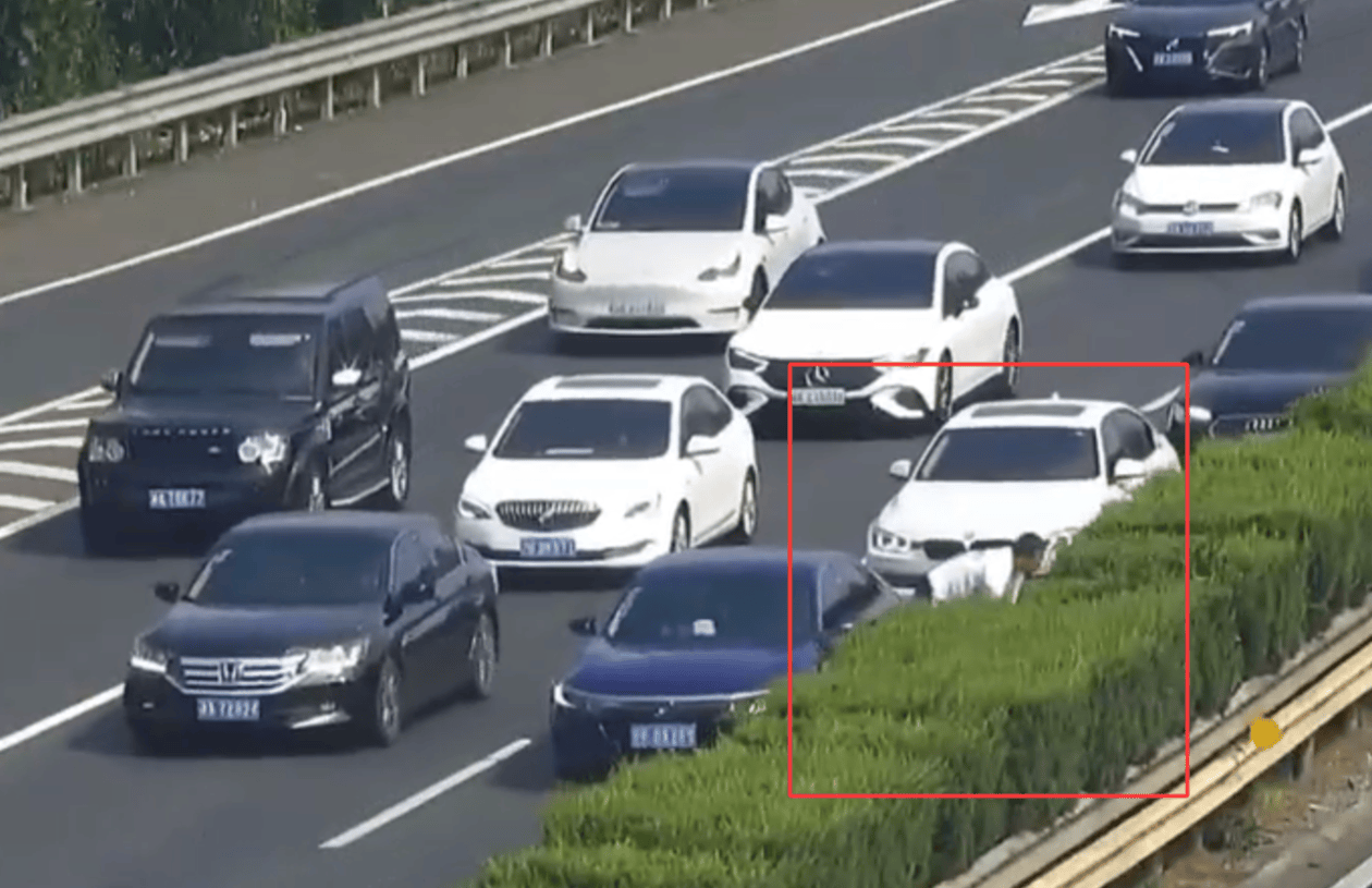 熊孩子发脾气扔出金项链，父母竟然在高速上寻找