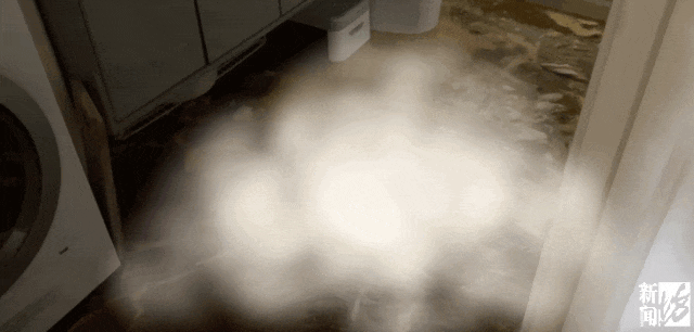 上海一业主推开家门瞬间懵了!精装房竟成“化粪池”……