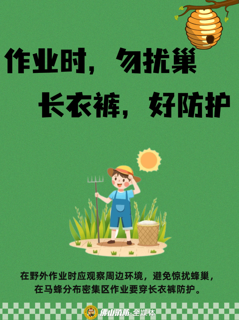 深圳一市民突遭马蜂围袭！已进入高发期，千万别招惹！