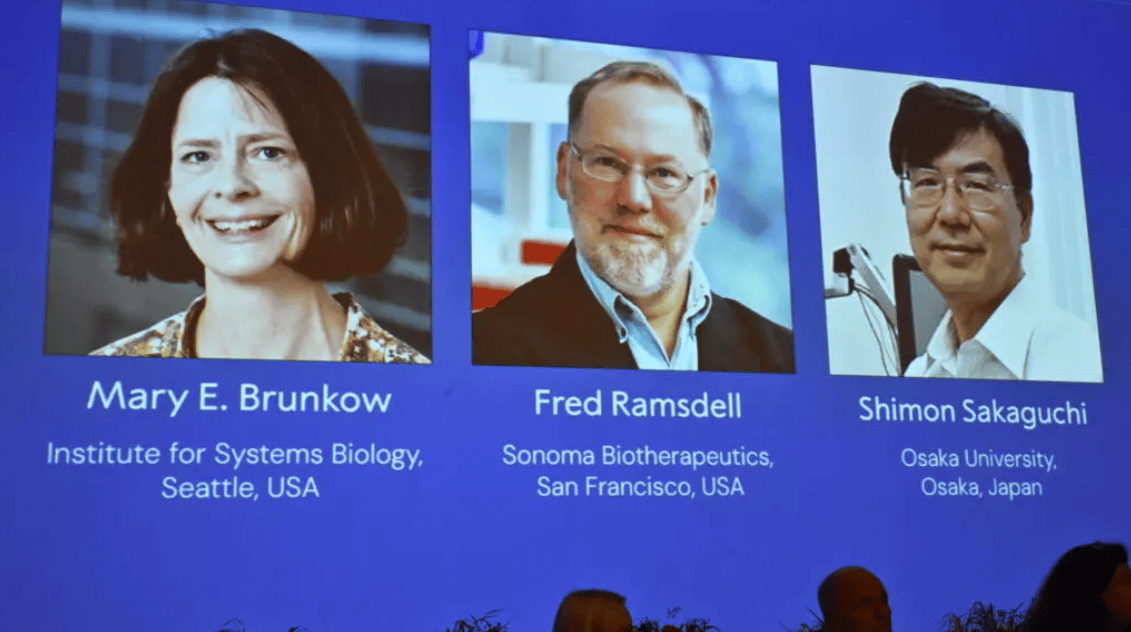 金灿荣：中国也许永远不会出现日本式的“诺贝尔奖井喷”