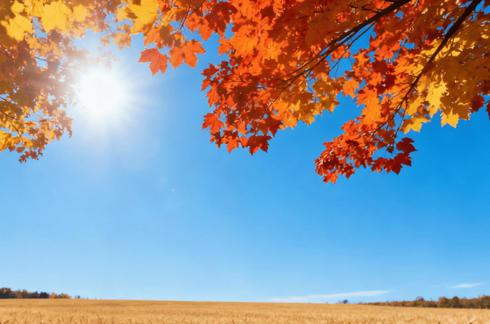 今、明天晴朗持续!早晚寒意浓、最低气温冰点上下,保暖要注意!