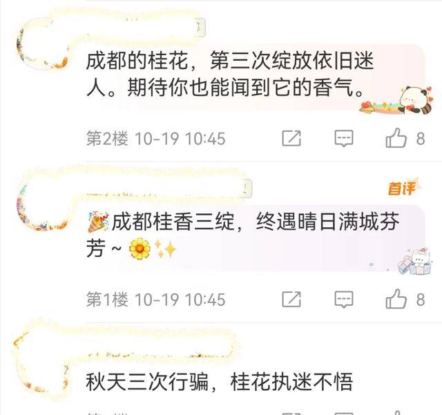 成都桂花又开了？原来是因为……