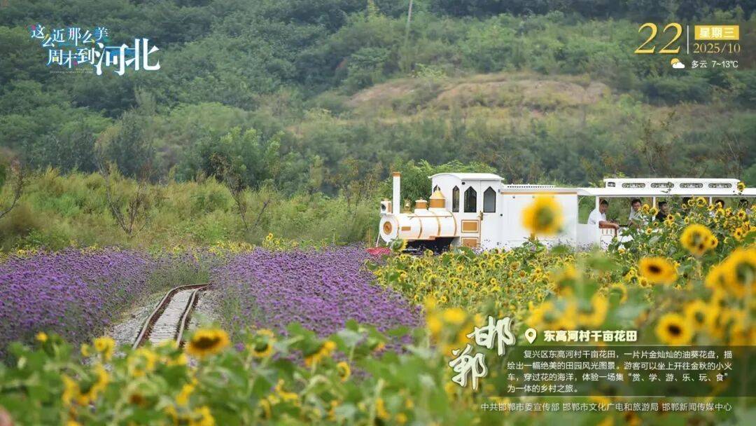 “人工智能+”行动!河北最新发布