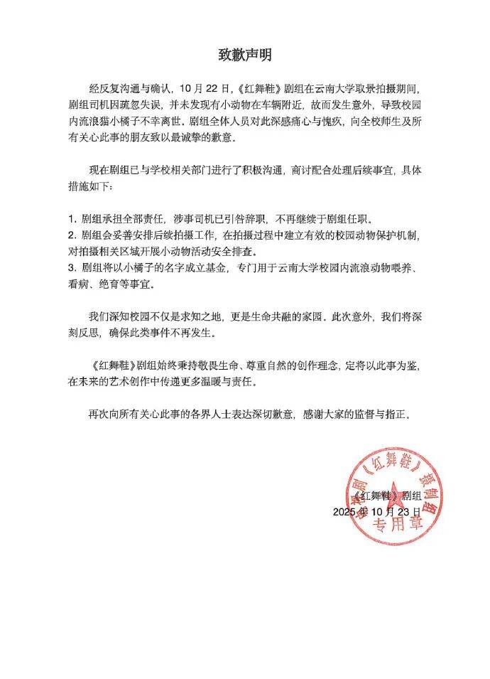 “小橘子”不幸离世，剧组凌晨紧急道歉，涉事司机引咎辞职！