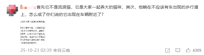 “小橘子”不幸离世，剧组凌晨紧急道歉，涉事司机引咎辞职！