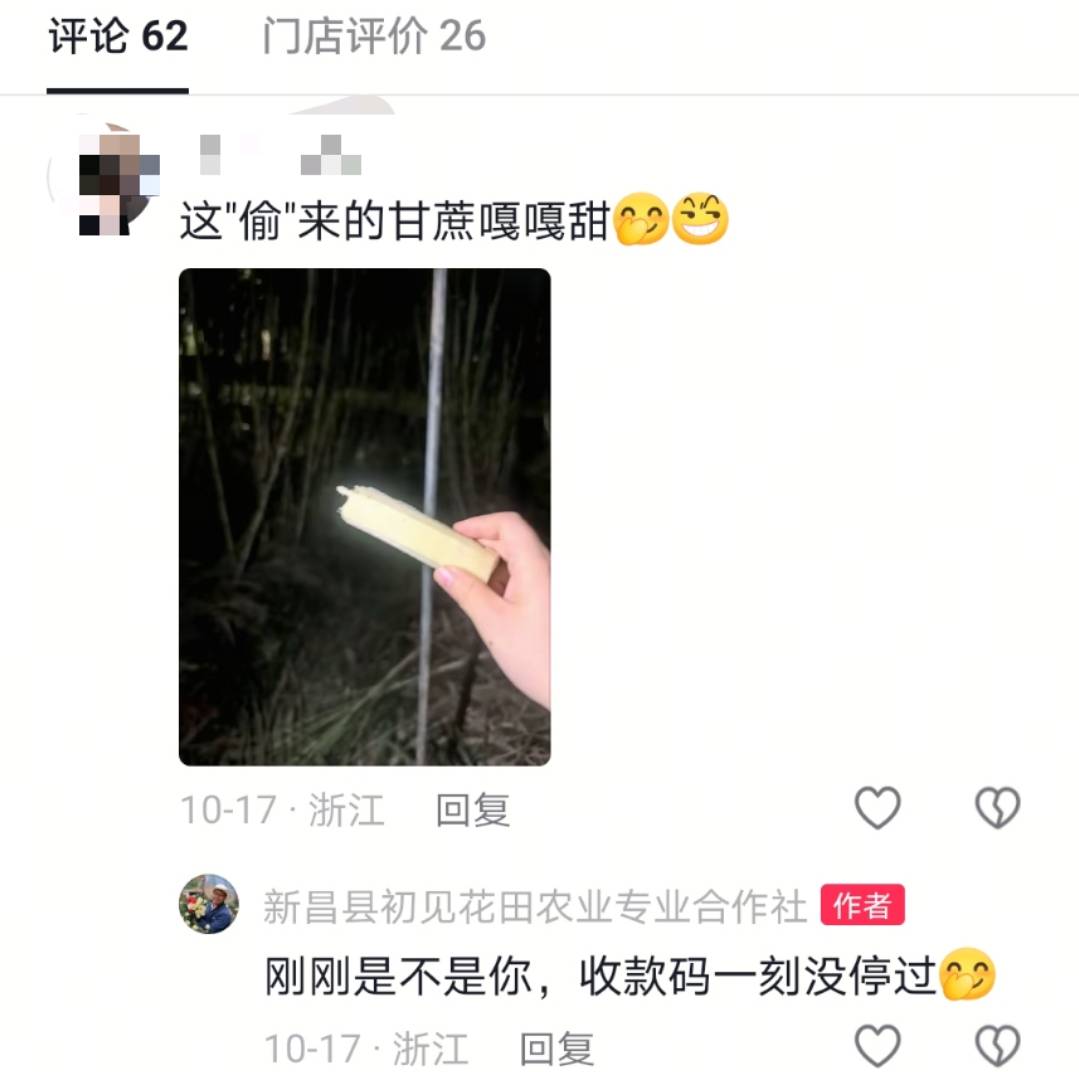 浙江一“可偷甘蔗地”成打卡点,上百网友深夜体验,80后“地主”:已收偷款6千元
