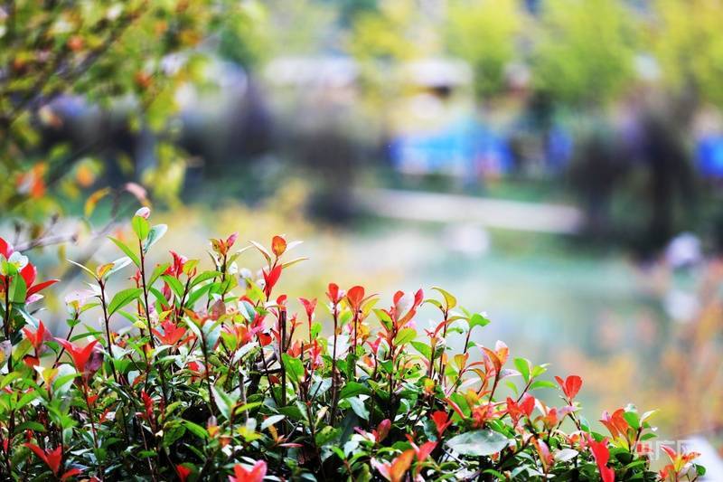 瞰贵州丨湖畔藏尽秋意浓