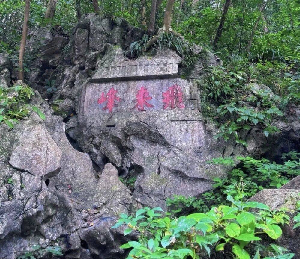 灵隐飞来峰景区将免票开放，官方回应：“让飞来峰飞入寻常百姓家”