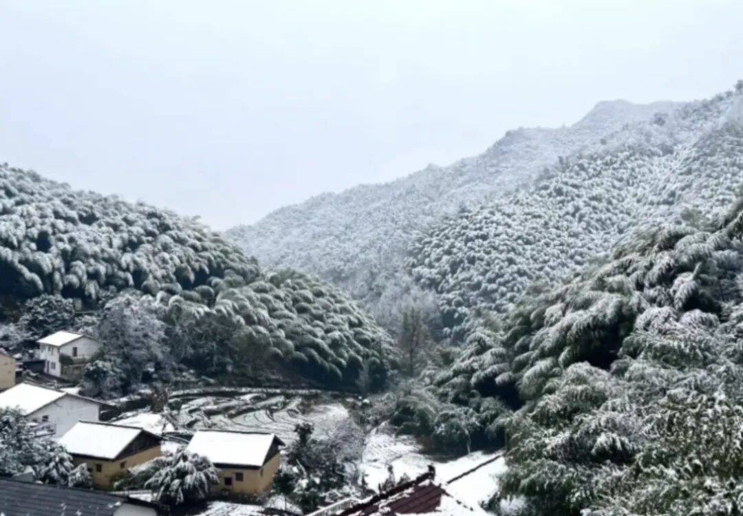 今日小寒，吃点暖的！