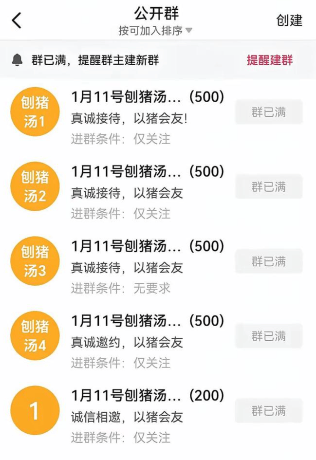女子不会杀猪网上求助，上千网友驱车来帮忙！10万人在线围观…
