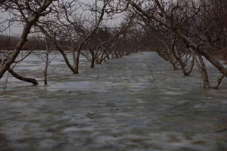 河北保定一亩泉断流60年后复涌，水利局回应