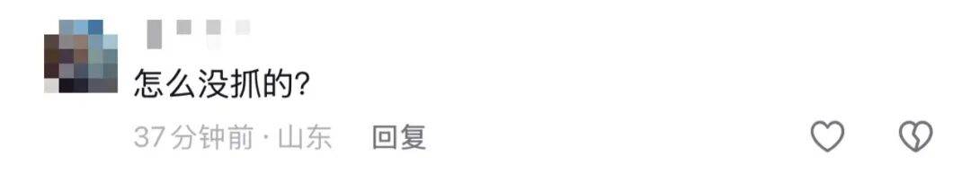 山东济南一广场突现“知了大军”密密麻麻，网友留言“你们咋不吃”